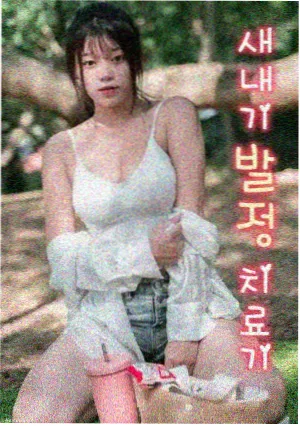 海岸线以北在线观看免费完整